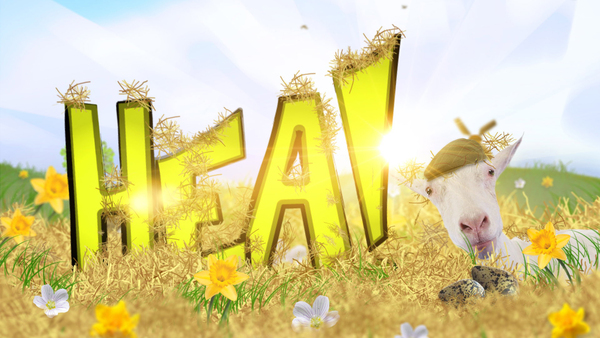 Hea!
