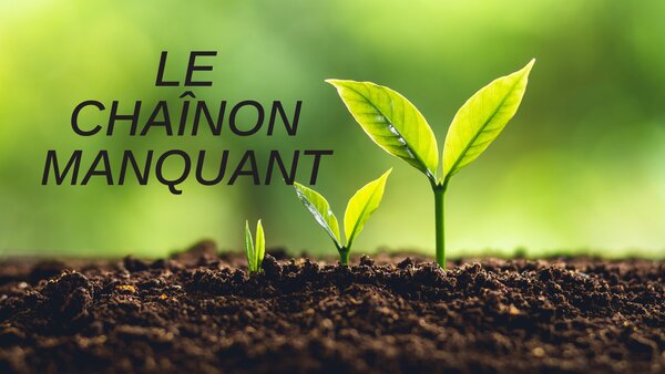 Le chaînon manquant
