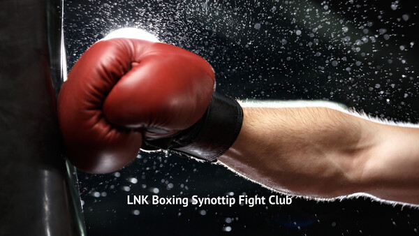 LNK Boxing Synottip Fight Club