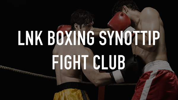 LNK Boxing Synottip Fight Club