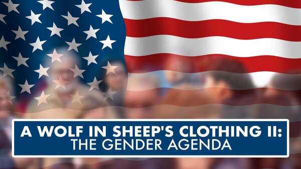 A Wolf In Sheep's Clothing II: The Gender Agenda