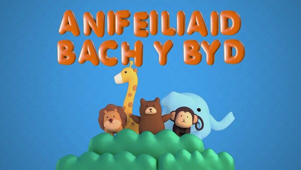 Anifeiliaid Bach y Byd