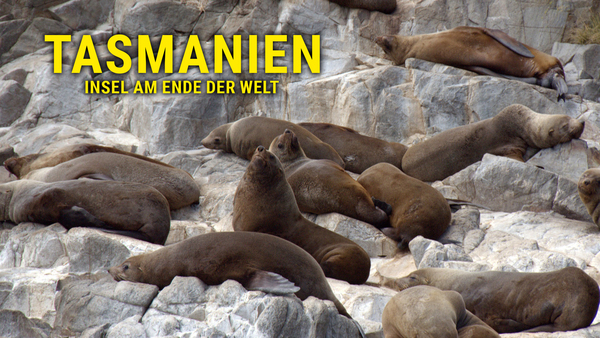 Tasmanien - Insel am Ende der Welt