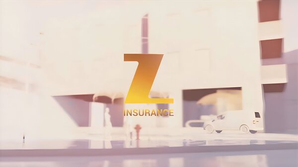 Z-Insurance