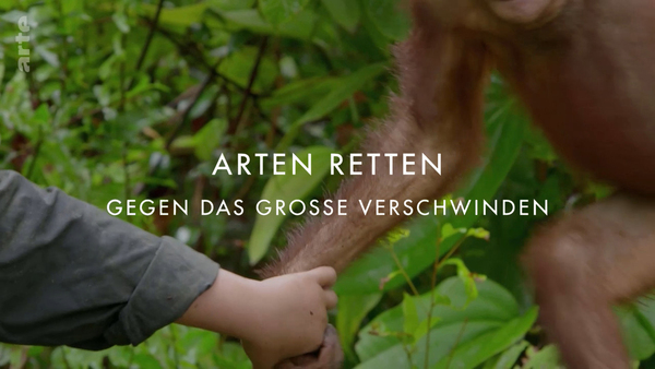 Arten retten - Gegen das große Verschwinden