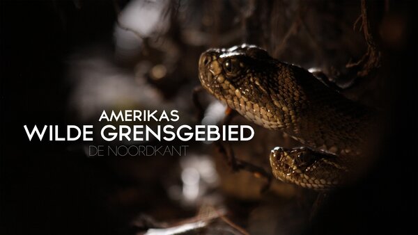 Amerika's wilde grens: de noorkant