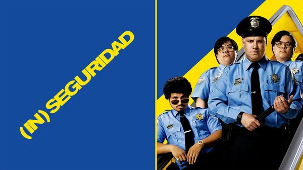 (In) Seguridad