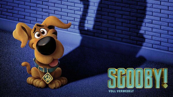 Scooby! Voll verwedelt
