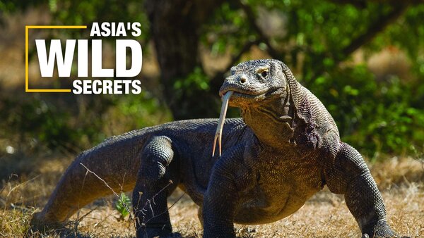 Asia's Wild Secrets