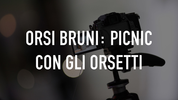 Orsi bruni: Picnic con gli orsetti