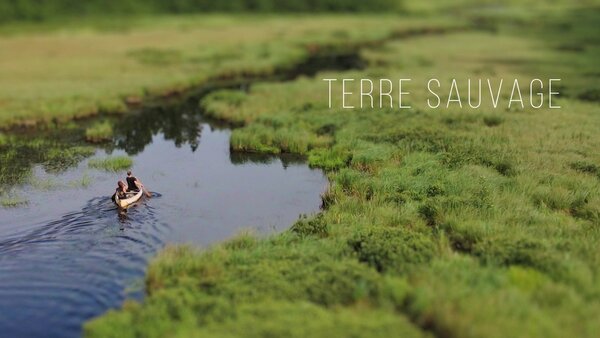 Terre sauvage