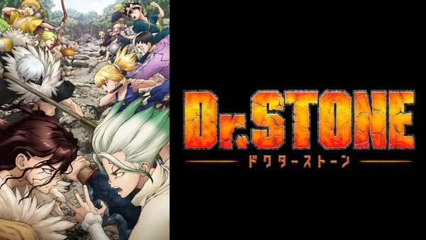 Dr. Stone