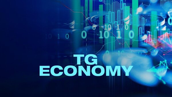 Tg Economy