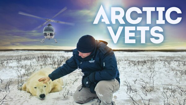Arctic Vets