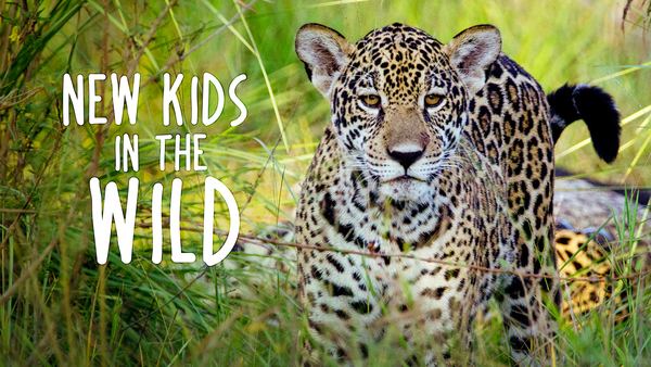 New Kids in the Wild
