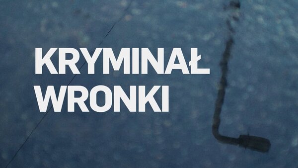 Kryminał Wronki