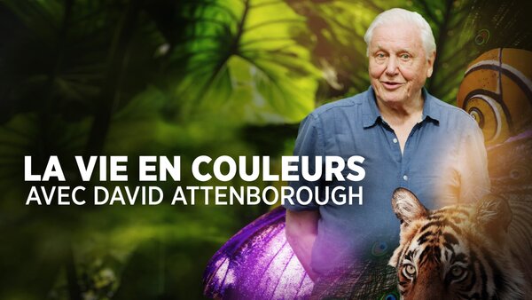 La vie en couleurs avec David Attenborough