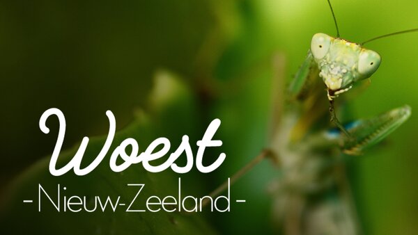 Woest Nieuw-Zeeland