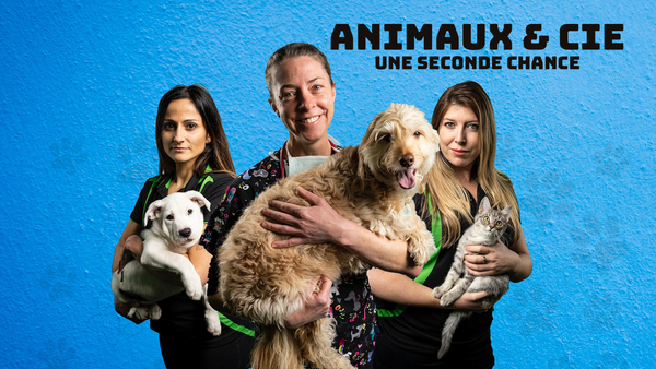 Animaux & Cie : une seconde chance