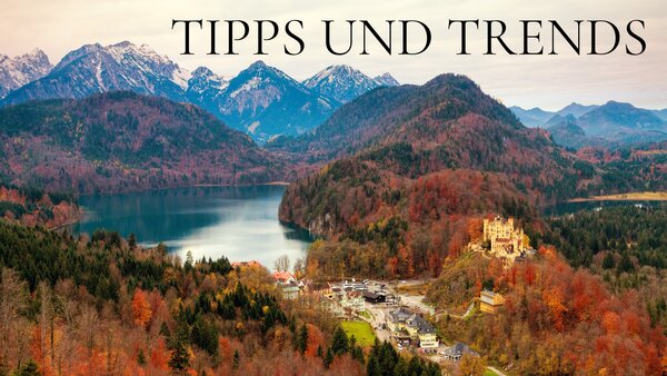Tipps und Trends
