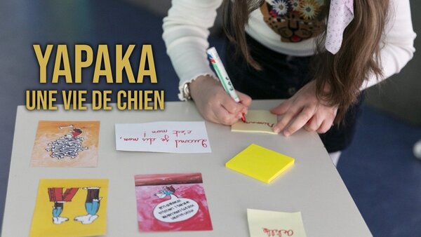 Yapaka : une vie de chien