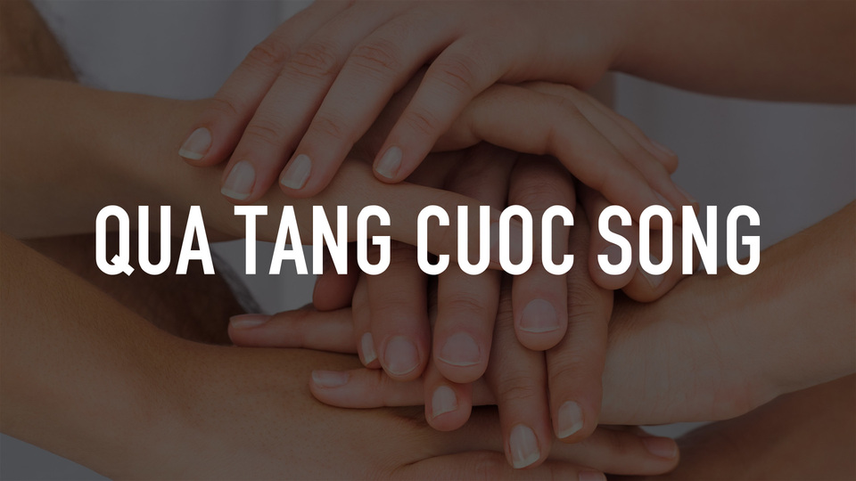 Qua Tang Cuoc Song