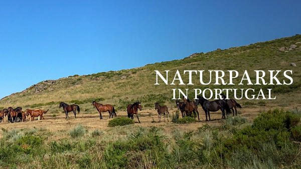 Naturparks in Portugal