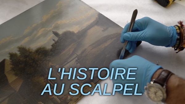 L'histoire au scalpel