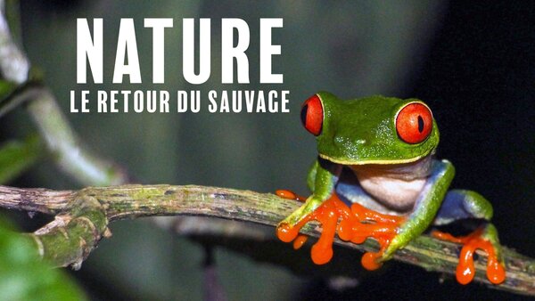 Nature, le retour du sauvage