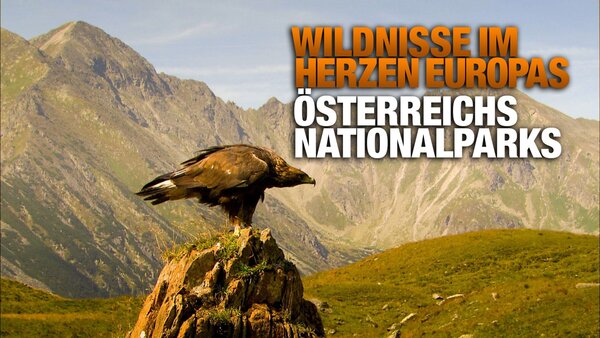 Wildnisse im Herzen Europas - Österreichs Nationalparks