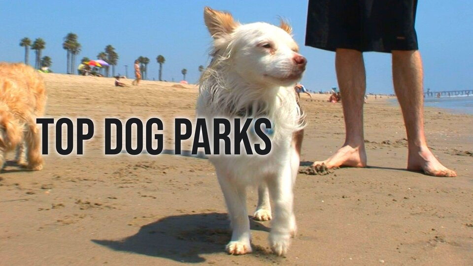 Top Dog Parks