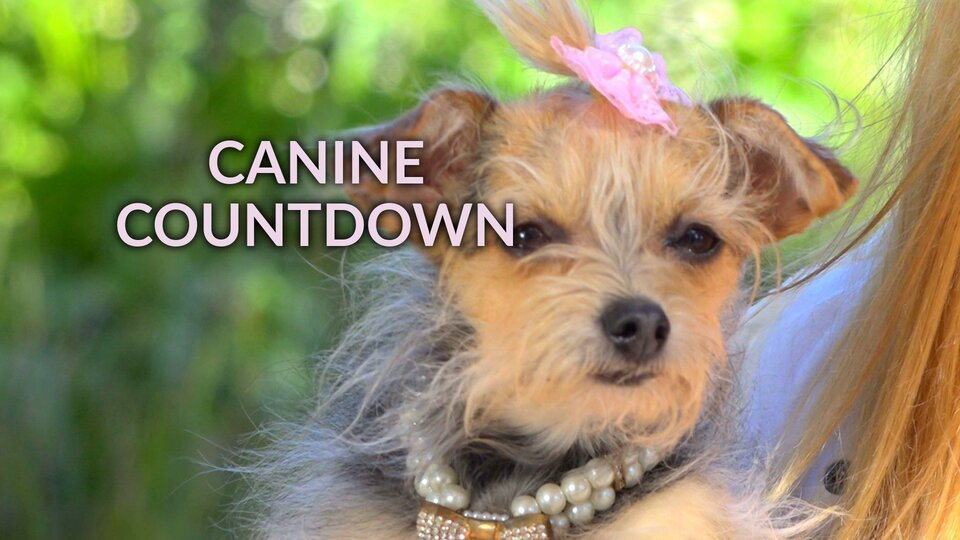 Canine Countdown