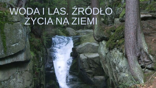 Woda i las. Źródło życia na Ziemi