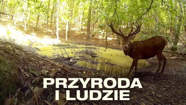 Przyroda i ludzie