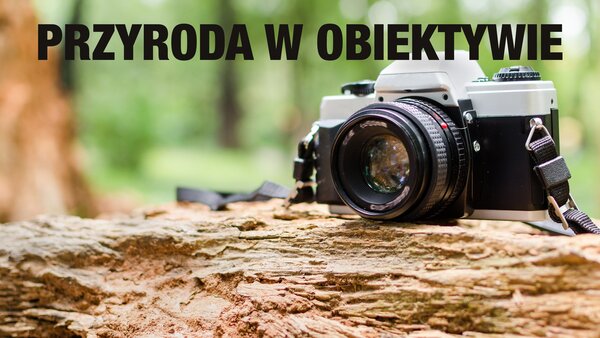 Przyroda w obiektywie