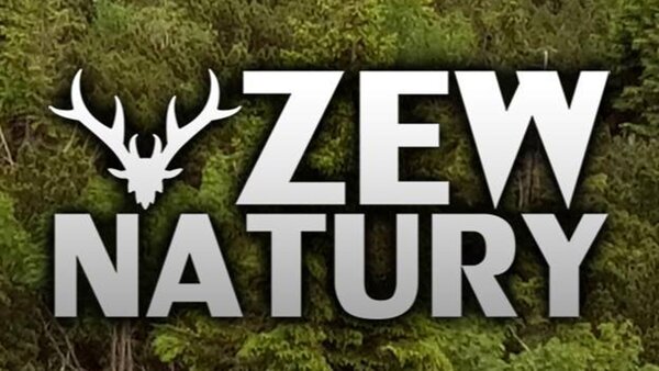 Zew natury