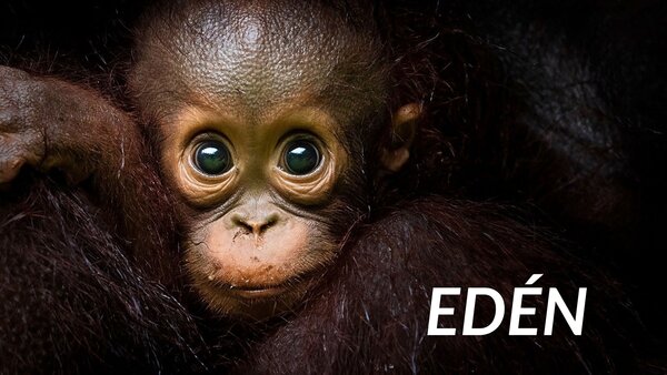 Edén