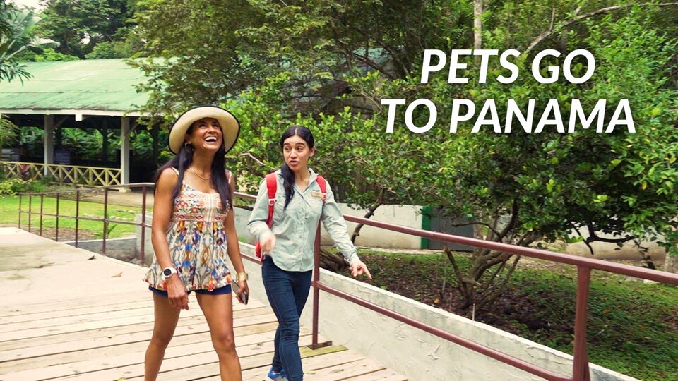 Pets Go to Panama
