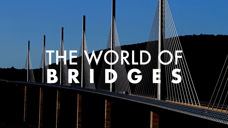 The World of Bridges