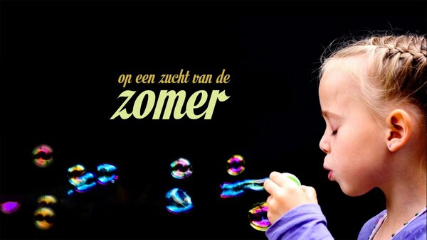 Op Stap in de zomer