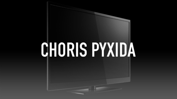 Choris Pyxida