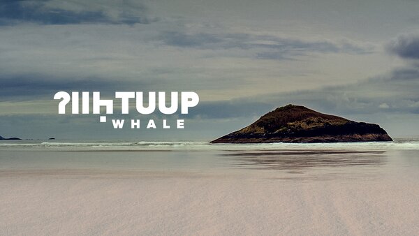 Whale