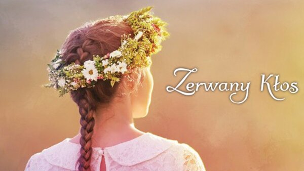 Zerwany kłos
