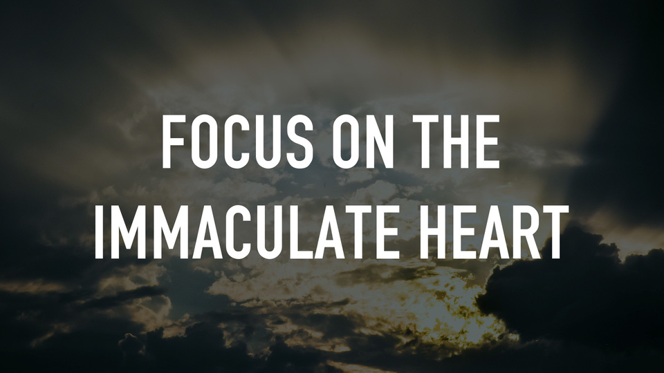 Focus on the Immaculate Heart
