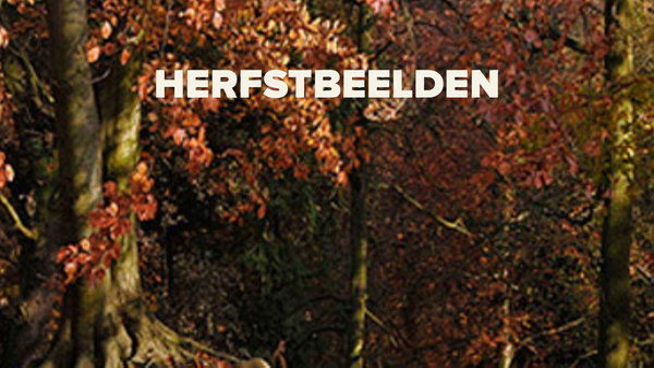 Live: Herfstbeelden
