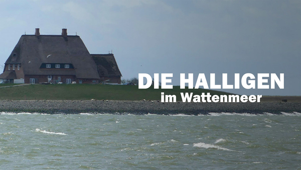 Die Halligen im Wattenmeer