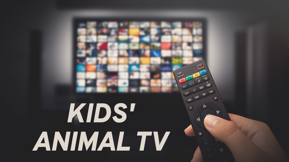 Kids' Animal TV