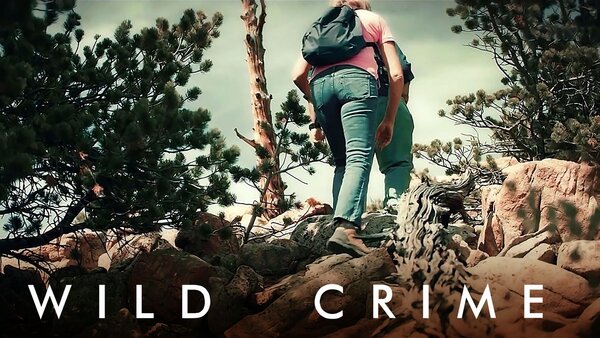 Live: Wild Crime