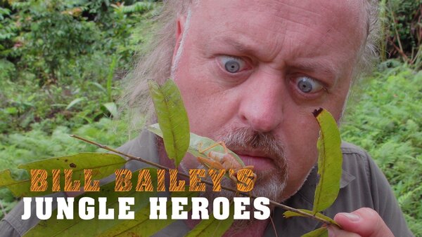Bill Bailey's Jungle Hero