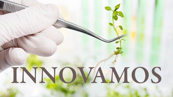 Innovamos